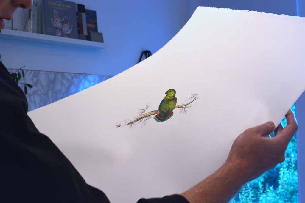 Edward Lear prints hand coloured by Rosemary Ellis